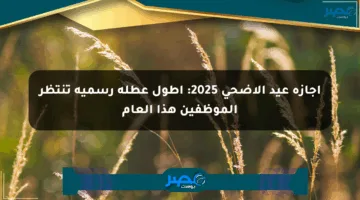 إجازة عيد الأضحى 2025: أطول عطلة رسمية تنتظر الموظفين هذا العام